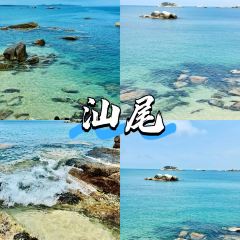 TIANCHENG NEST,SHARK-FINE&ABALONE User Photo