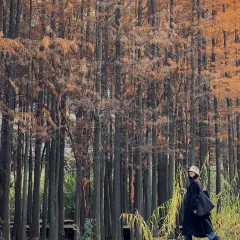 胡记包子 User Photo