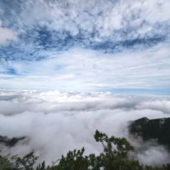 SHAN CHENG NONG JIA User Photo