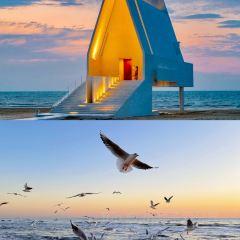 Bar Lotus User Photo