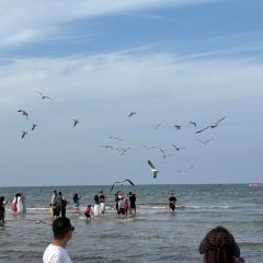 XINGHAIYUGANG User Photo