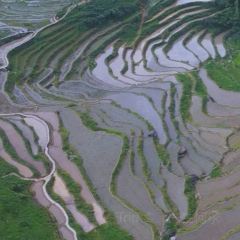 荣村农家乐 User Photo