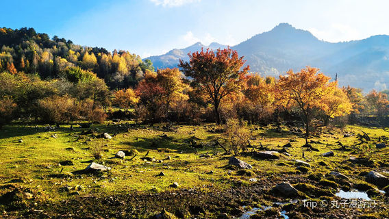Pangquangou National Forest Park