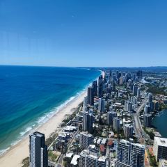 The Tropic User Photo