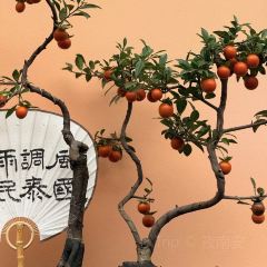 聚味轩酒楼(东升街店) User Photo