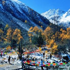 遇见音乐餐吧 User Photo