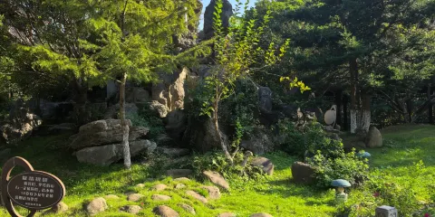 聯怡枇杷樂園