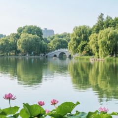 馬記燒餅張用戶圖片