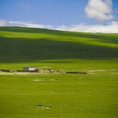 SNOWLAND'S SECRET 여행 사진