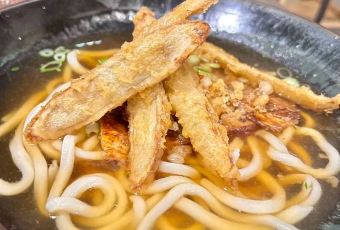 Delphi Cafe User Photo