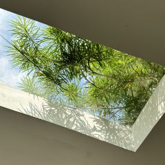 Woodberry Cafe User Photo