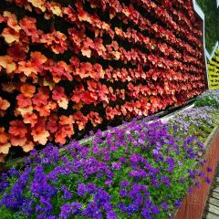 小八仙·精品川菜(源著店) User Photo