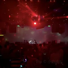 NEON DANCE User Photo