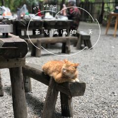 Fanpu Life User Photo