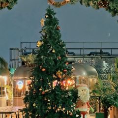 Roof Garden祕密花園張用戶圖片