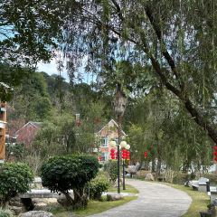 璟顺农家菜 User Photo