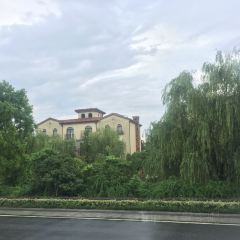 太湖船说·月亮湾餐厅(渔人码头店) User Photo