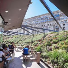 McDonald's 여행 사진