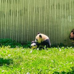 耿达镇 User Photo