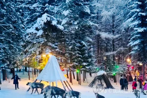Changbai Mountain Edelweiss Reindeer Park