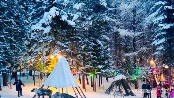 Changbai Mountain Edelweiss Reindeer Park