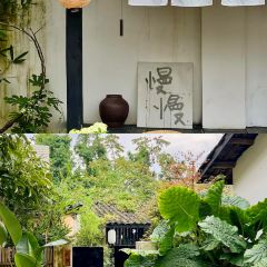 误会·庭院 User Photo