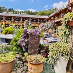 912张宜花园餐厅 User Photo