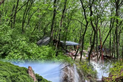 成师傅·大宋炒菜楼(中兴路店)