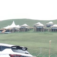 清真·敦来顺·手抓羊肉 User Photo