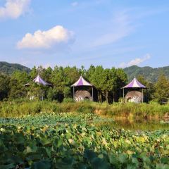 树蛙部落(仙女湖店)·餐厅 User Photo