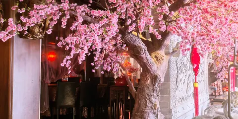 天府傳奇大酒店