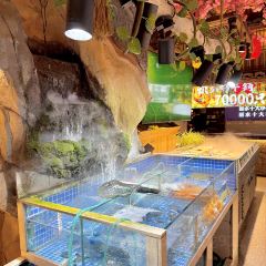 头上红煨盐鸡乡村食府 User Photo