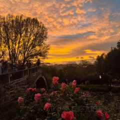 村边·合CAFE User Photo