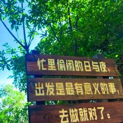 Datou Barbecue (jichanglu) User Photo