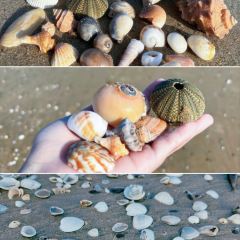 波哥私房菜(金沙湾店) User Photo