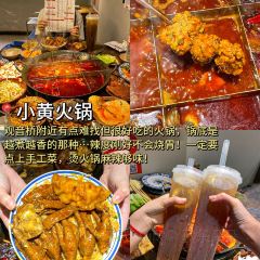 眼镜凉虾凉糕 User Photo