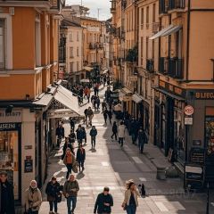 JIANGNAN Impression Chinese Restaurant User Photo