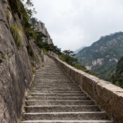 秀嫂挞粿 User Photo