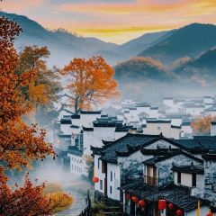 秀嫂挞粿 User Photo