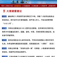 杨记饵块 User Photo