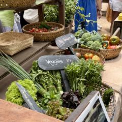 PENNY LANE User Photo