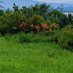 Seasons Elementaita Country Lodge User Photo