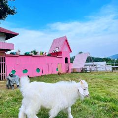 岭澜食尚 User Photo