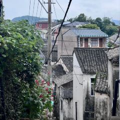 宁海强蛟镇峡山包船75号船 User Photo