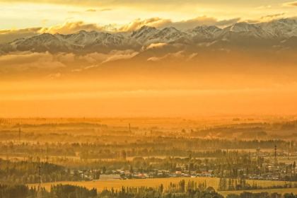 艾沙江达吾提烤包子(新友好美食街店)
