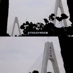 Pier Dad tea 여행 사진