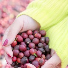 比顿咖啡文化馆(升阳路店) User Photo