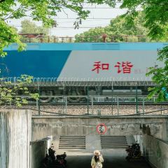 秀珍面馆·蟹面(海宁长安人民路店) User Photo