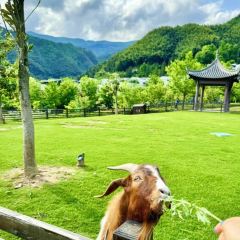 BAI YUN User Photo