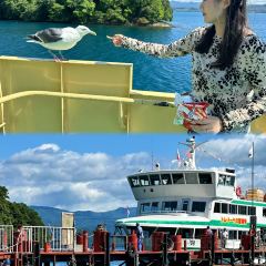 Lake Hill Farm User Photo